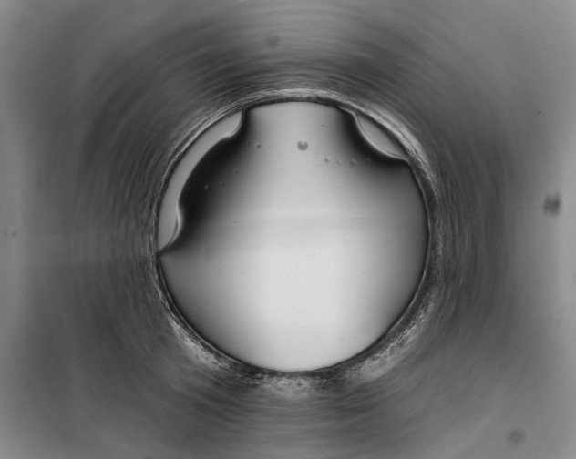 X0000099420801200805301406