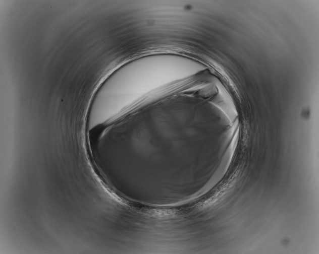 X0000099420802200805301406