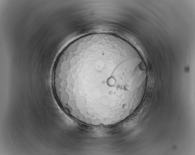 X0000099420803200805301406