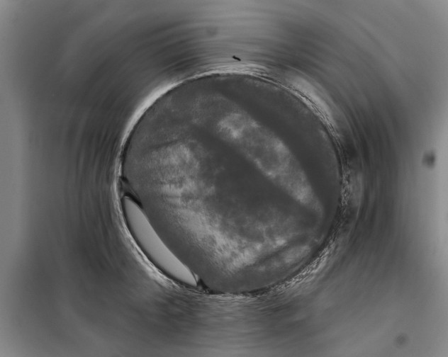 X0000099420804200805301406