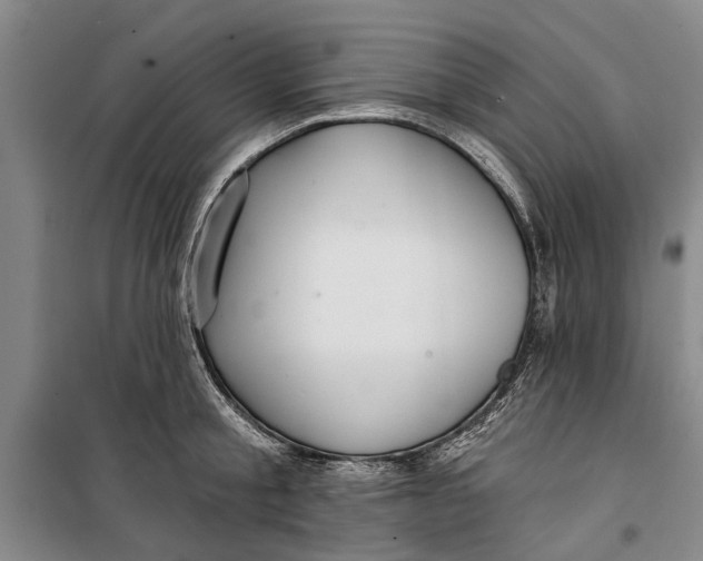 X0000099420805200805301406