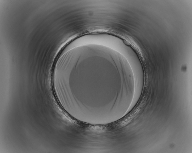 X0000099420806200805301406