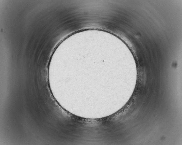 X0000099420807200805301406