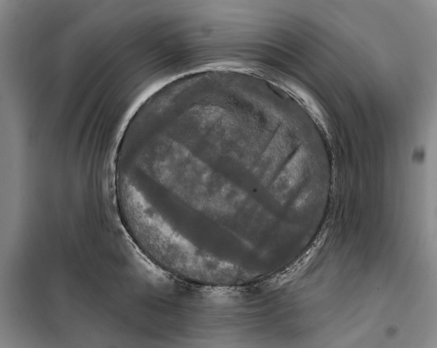 X0000099420808200805301406