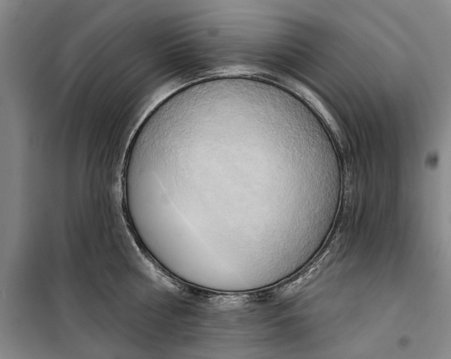 X0000099420810200805301406