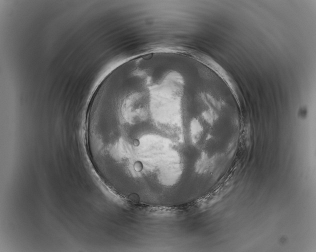 X0000099420811200805301406