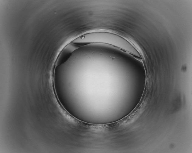 X0000099420813200805301406