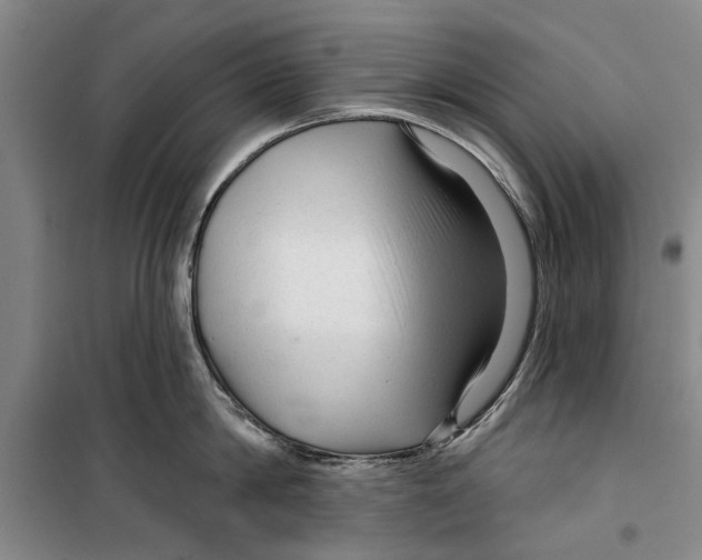 X0000099420814200805301406