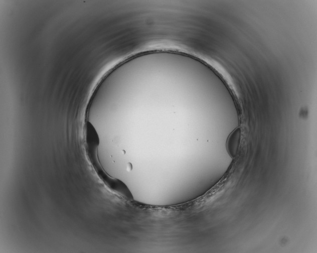 X0000099420815200805301406