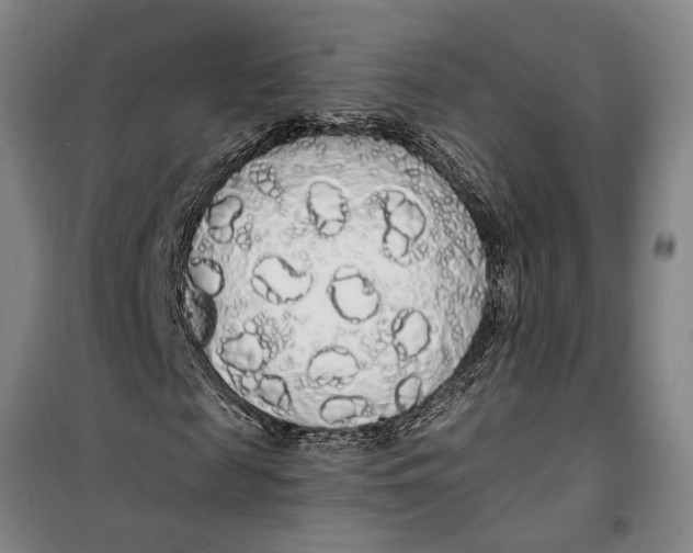 X0000099420817200805301405