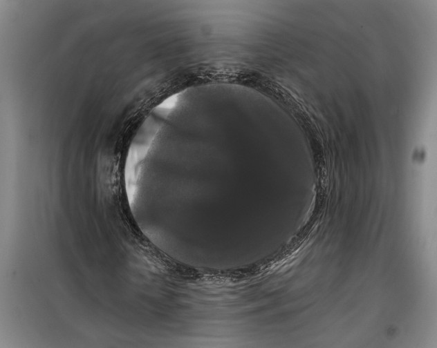 X0000099420818200805301405