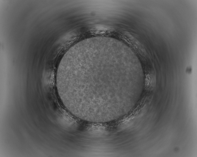 X0000099420820200805301405