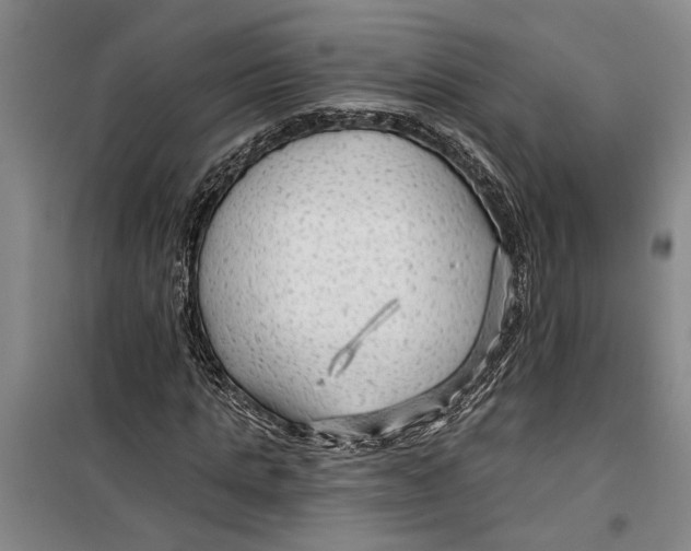 X0000099420821200805301405