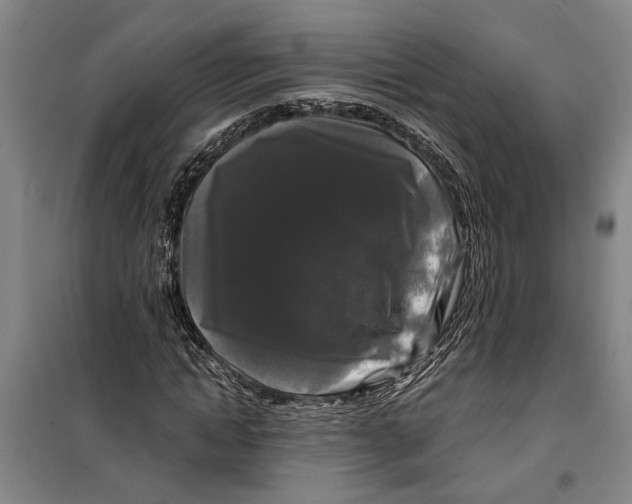 X0000099420822200805301405