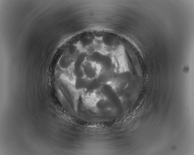 X0000099420823200805301405