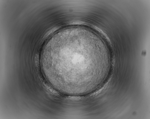 X0000099420825200805301405