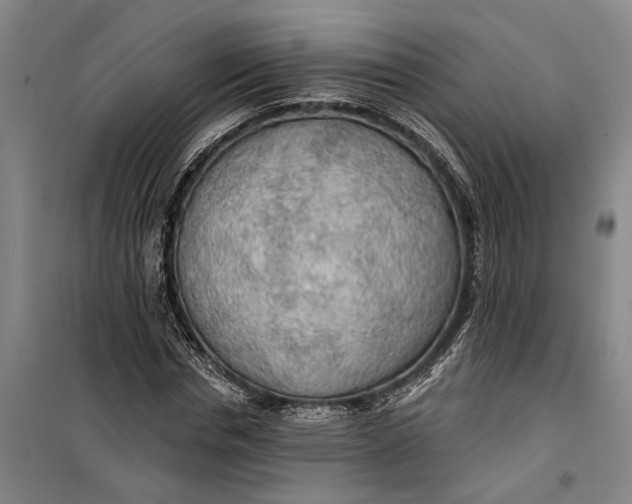 X0000099420826200805301405