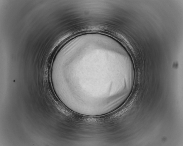 X0000099420827200805301405