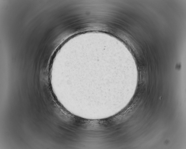 X0000099420828200805301405