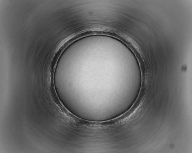 X0000099420829200805301405