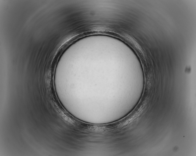 X0000099420831200805301405