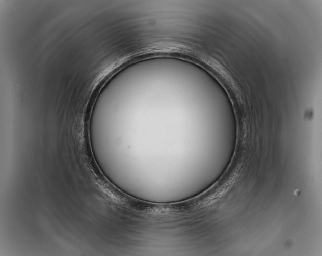 X0000099420834200805301405