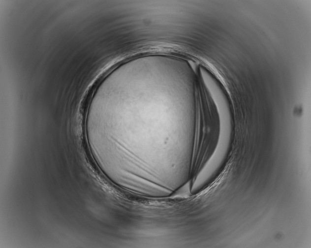 X0000099420835200805301405