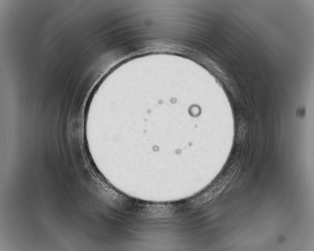 X0000099420836200805301405