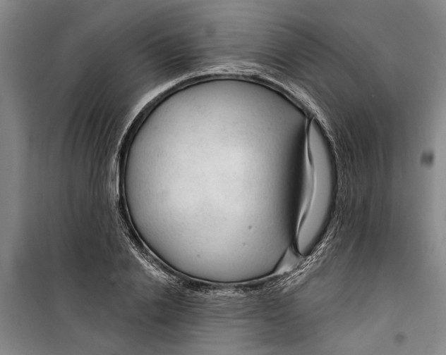 X0000099420838200805301405