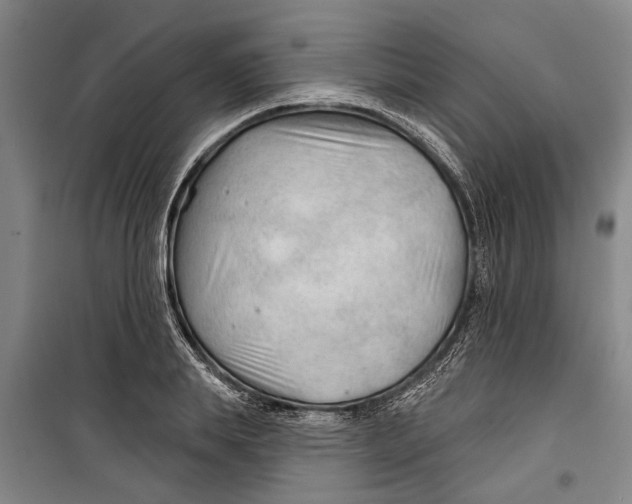 X0000099420839200805301405