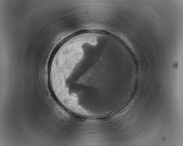 X0000099420840200805301405