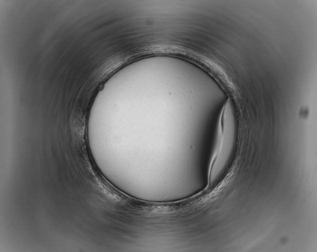 X0000099420841200805301405