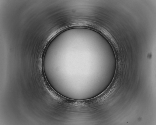 X0000099420842200805301406