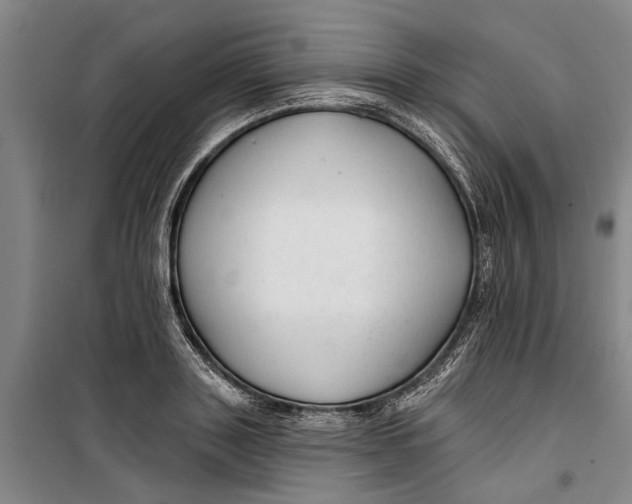 X0000099420843200805301406