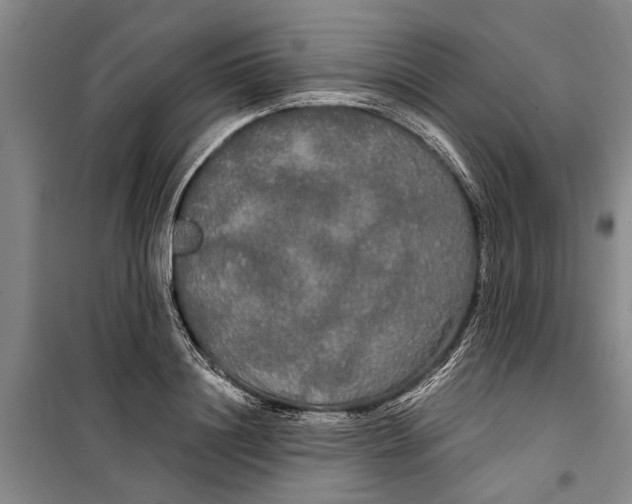 X0000099420844200805301406