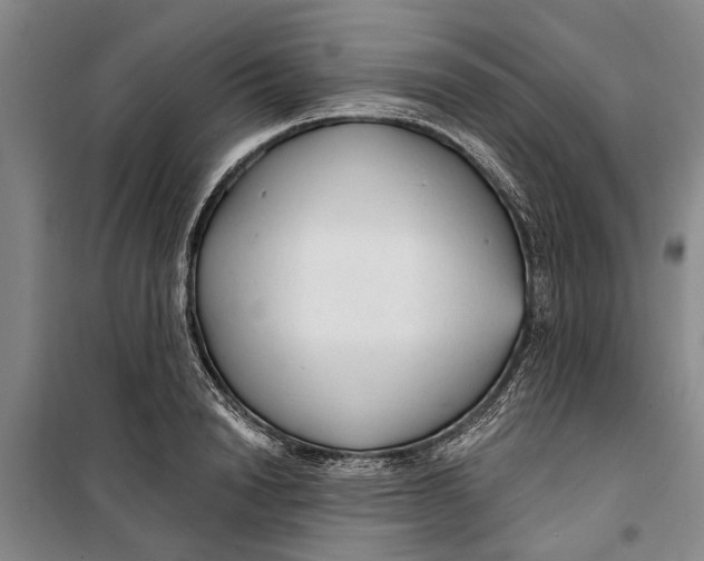 X0000099420846200805301406