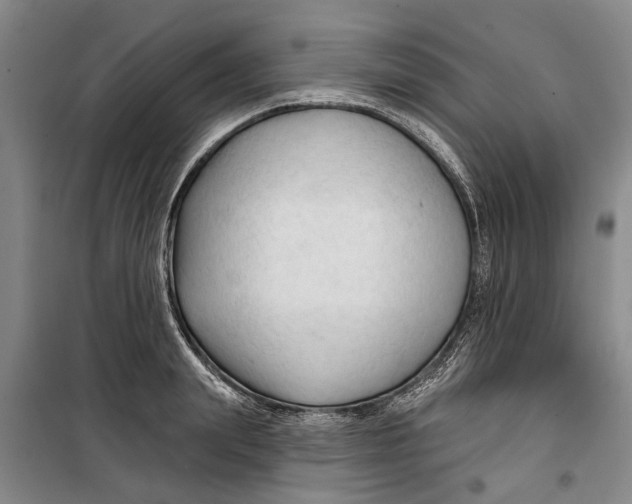 X0000099420847200805301406