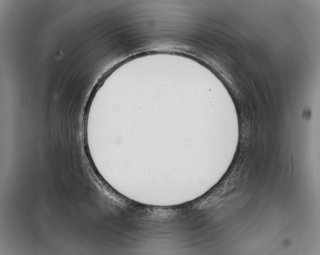 X0000099420848200805301406