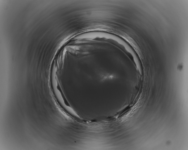 X0000099420850200805301406