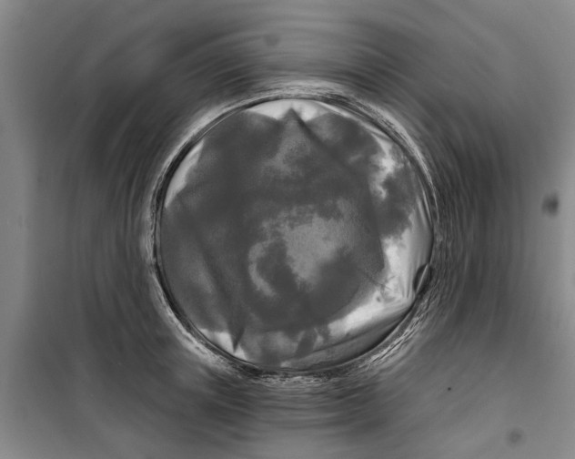 X0000099420851200805301406