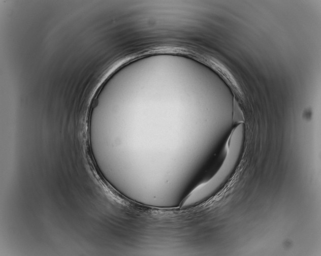 X0000099420852200805301406