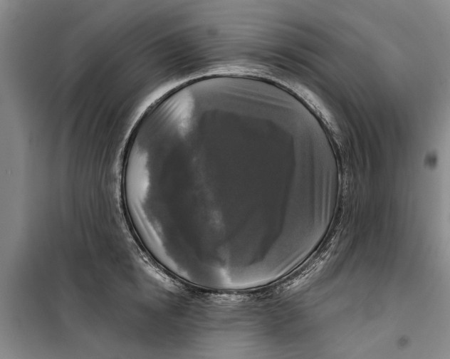 X0000099420854200805301406