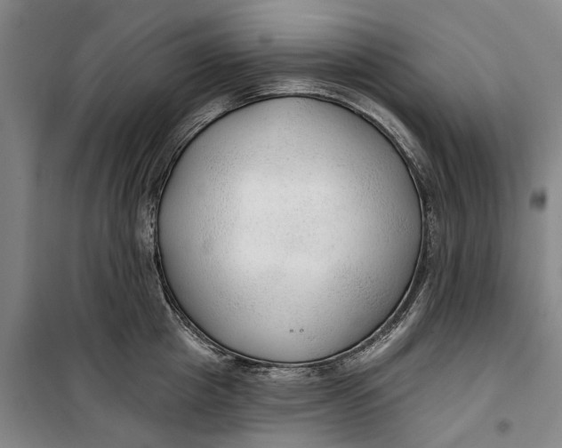 X0000099420857200805301406