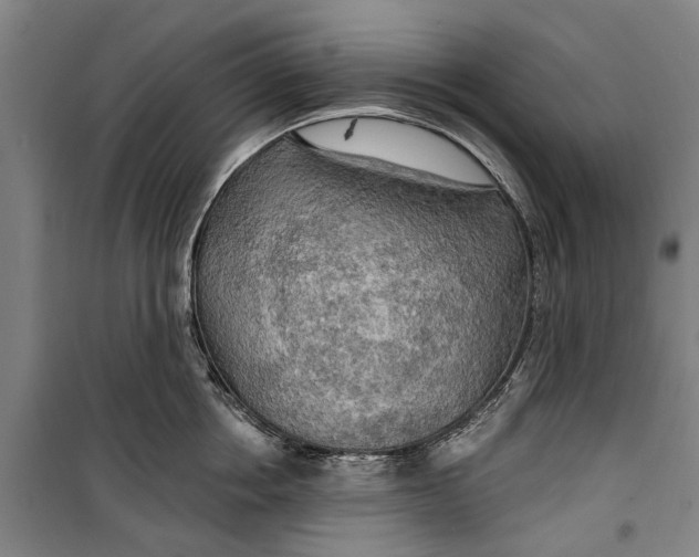 X0000099420858200805301406