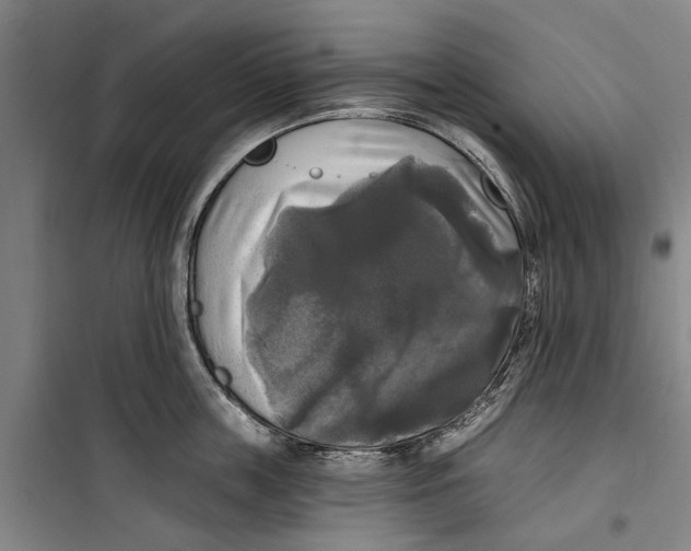 X0000099420859200805301406