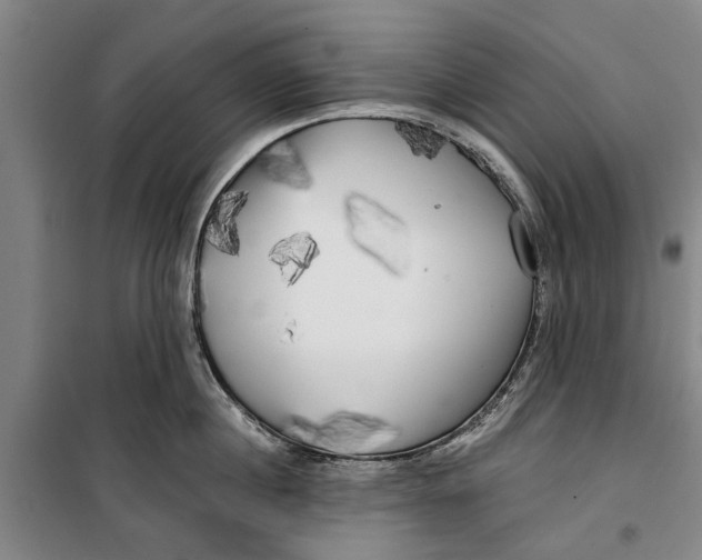 X0000099420860200805301406