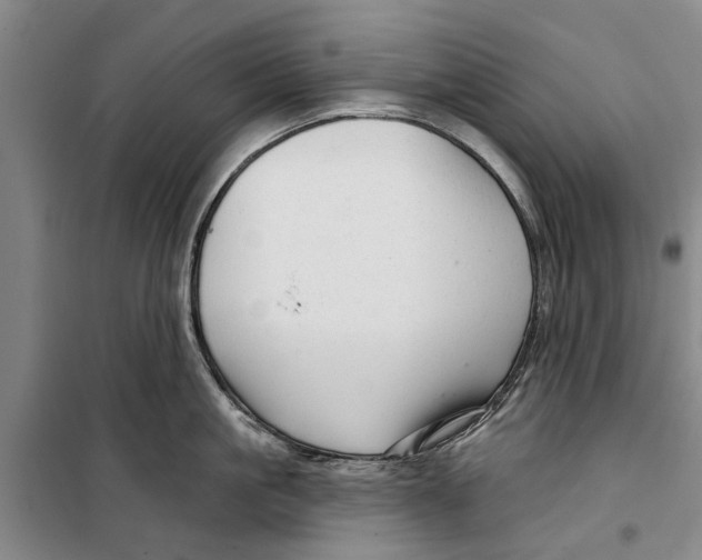 X0000099420861200805301406