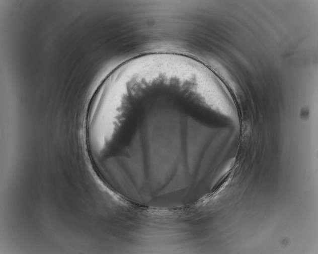 X0000099420863200805301406