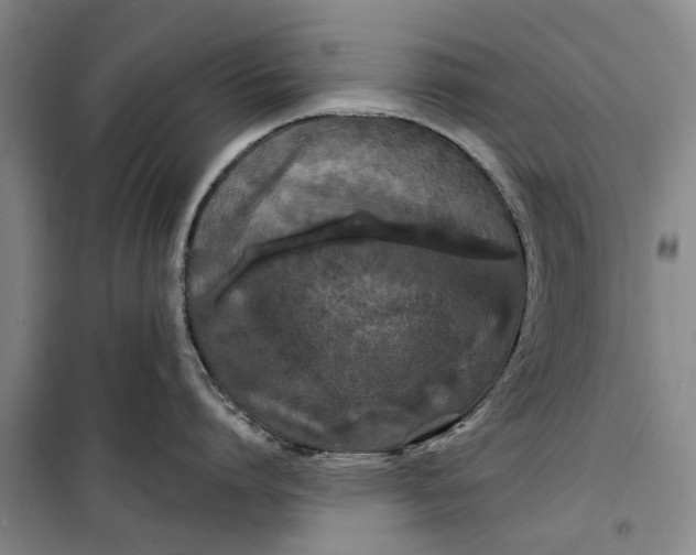 X0000099420864200805301406