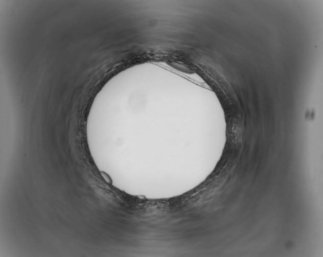 X0000099420865200805301405